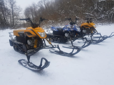 Хаски Блюз, катание на хаски