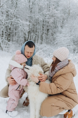 Хаски Блюз, катание на хаски