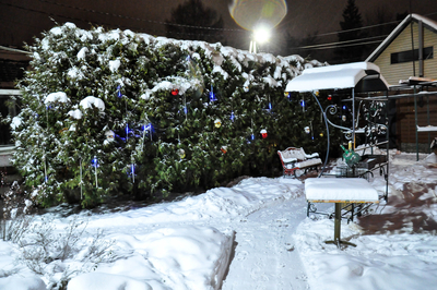 Отдыхаем в комплексе «Crazy веник»! Баня со скидкой до 27% Отдыхаем в комплексе «Crazy веник»! Баня со скидкой до 27%