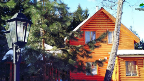 Тепло русской бани и уют деревянных домиков — Ваш идеальный отдых на базе «Берёзовая роща» со скидкой до 60%